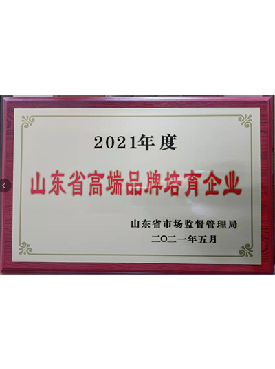 山東省高端品牌培育企業(yè)